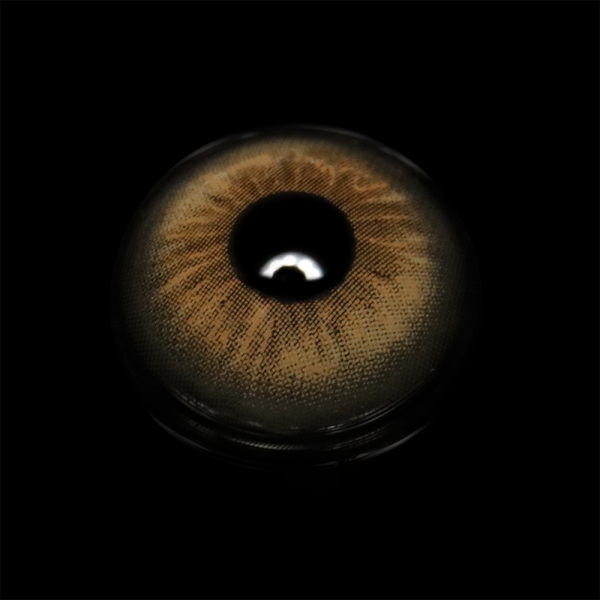 03e68999f8847c2000cebbc4c74bfcaf.png