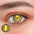 1920_ca68579b-4f0b-483c-95dd-fe18ea8940c8.png