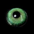 19c52a421094d3fc5253c09d5ecacd9a.png