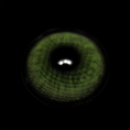 1_7ef238a7-356e-4d08-b097-8fa6902d3551.png