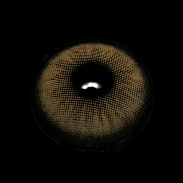 1_a62e7ddd-0dbb-4ae2-9b99-4055abd5fd4f.png