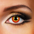 1bc512720049cc6d67ad229bd4169d8e.png