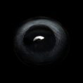 2ac5a98509f97856443922e6467a9543.jpg