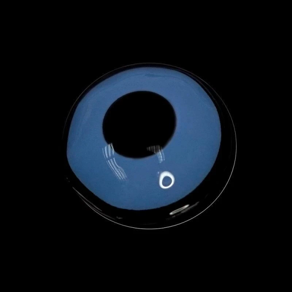 2d03190e446a153e4d4c170790cc454a.png