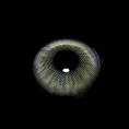 38922c8e4b9fe3326a178d22a8f47493.png