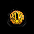 3f467314cb4774d9701602c545020542_04d8f6a0-c5e2-42c9-a19d-07d4faa7d110.png