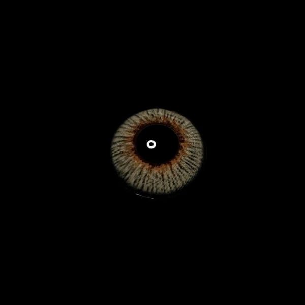4e38a5fa3e81f4729139e9083d29acb9.jpg