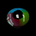 5765feca7cdae9305f13b49a5fae432a.png