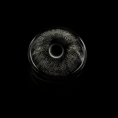 6505b8a746a0e54d4c7dfc8249ce1556.png