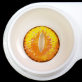 6b60a37fed648bc80df864d04c0cd5b3.png