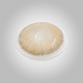 6e20ccee7c40c39ab9d2396ba042189f.png
