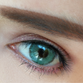 76d6b2f0fa8839946fcbe49c34ec03ae.png