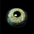 78db330960601200681463c3bec58f4c.png