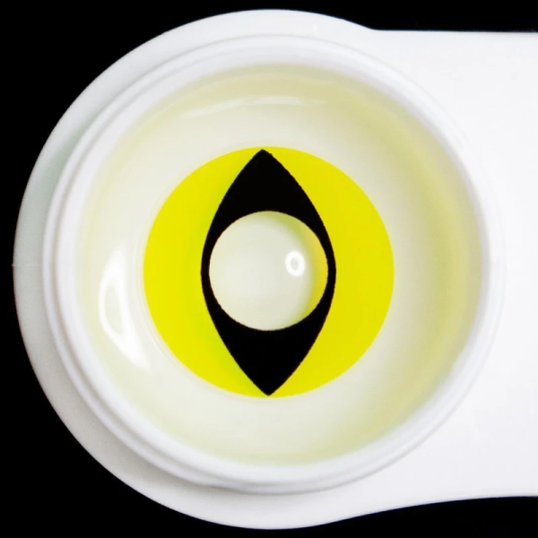 7b45cf6aa38784f8c1dc9ec3691c6d38_7157e4f2-d00b-4922-a9d8-39c7b80a518b.png