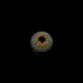 7c5aef3503d58f2ded22d10827366476.jpg