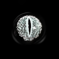 8aaa5bddf7e9fea362fc86b753b5644f_a53f9edf-c5f5-4865-9ed9-e1b7c0fa5caa.png