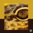 8d5a81bdc6d780928d9ce2a4acfe7887_2ee1f15d-d5a2-4aac-9e28-3623922a99b6.png