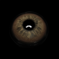 95f1eceac08d7ae39ffa140deb3d44df.png