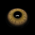 Aura_20Brown_5B1_5D__6EjEl7.png