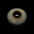 Aura_20Gray_5B1_5D__lW2kEa.png