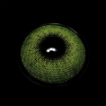 BR000117_1.png