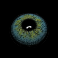 BR000132_1.png