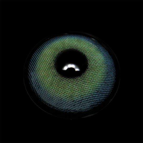 BR000239_3.png