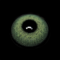 BR000247_1.png