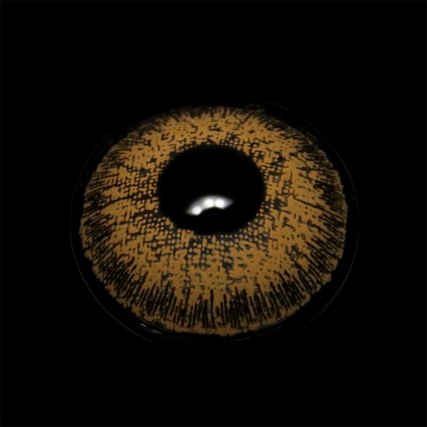 BR000313_1.png