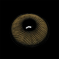 BR000438_1.png