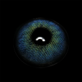 BR000488_3.png
