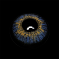 BR000693_3.png