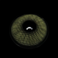 BR000907R_1.png