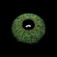 BR001311_1.png