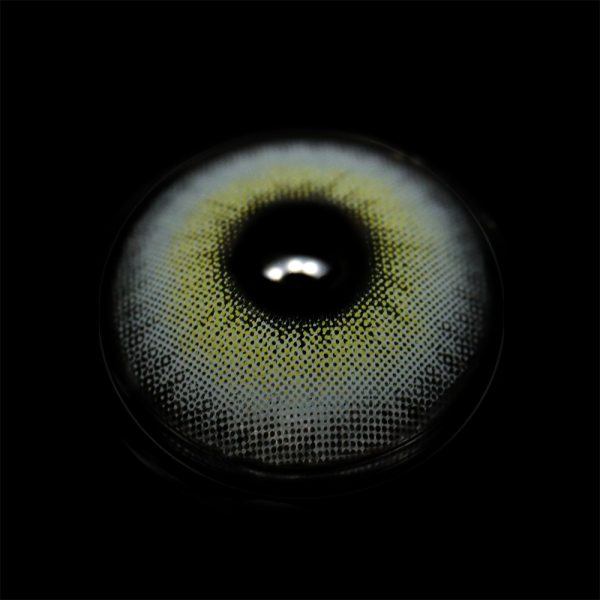 BR002751R_1.png
