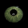 BR003603_3.png