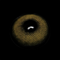 BR003900_1.png