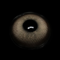 C5-1_5B1_5D__aw1e34.png