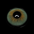 C6-2_20_281_29_k4CHsf.png