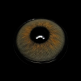 C6-5_20_281_29_qNQBh7.png