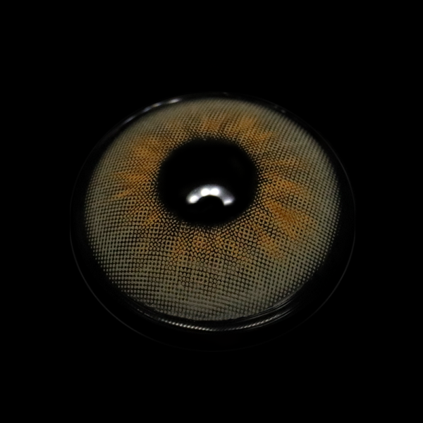 C6-5_20_281_29_qNQBh7.png