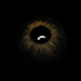 C6-H_20_281_29_SbvA6W.png