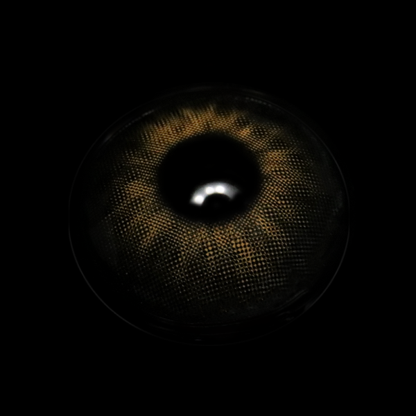 C6-H_20_281_29_SbvA6W.png