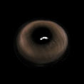 CREAM_BROWN_1.png