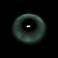 CREAM_green_1.png