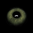 E415-2_5B1_5D__LDGqz3.png