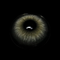 FA48-5_20_281_29_e5wrbB.png