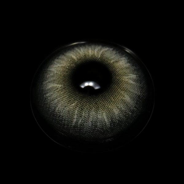 FA48-5_20_281_29_e5wrbB.png