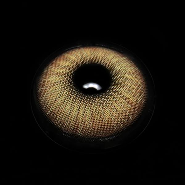 FA51-1_5B1_5D_ppSOJ6.png