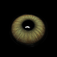 FA51-2_5B1_5D_voKT2P.png